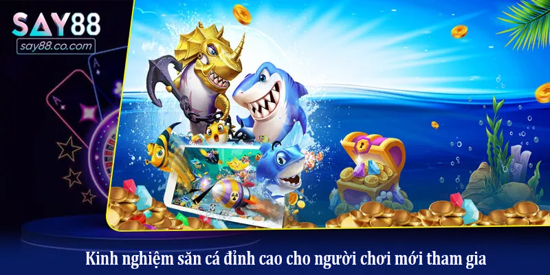 Kinh nghiệm săn cá đỉnh cao cho người chơi mới tham gia