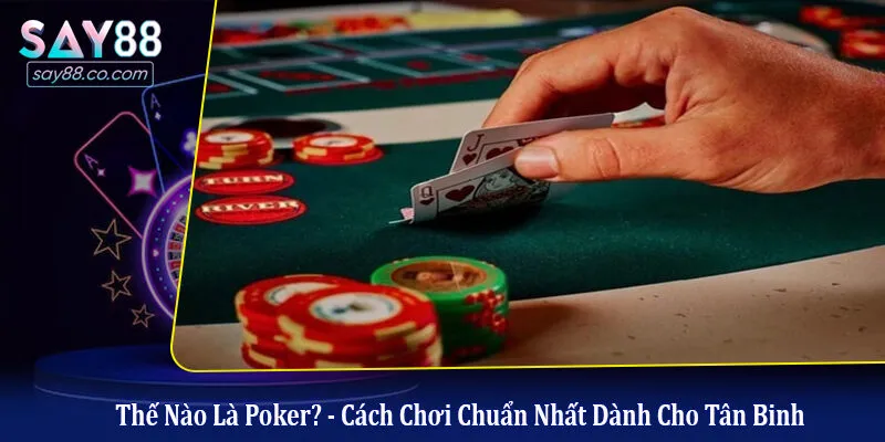 Thế Nào Là Poker? - Cách Chơi Chuẩn Nhất Dành Cho Tân Binh poker