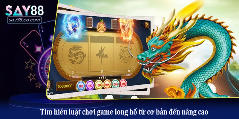 Long Hổ: Bí Kíp Chơi Toàn Thắng Và Kinh Nghiệm Từ Cao Thủ Tìm hiểu luật chơi game long hổ từ cơ bản đến nâng cao
